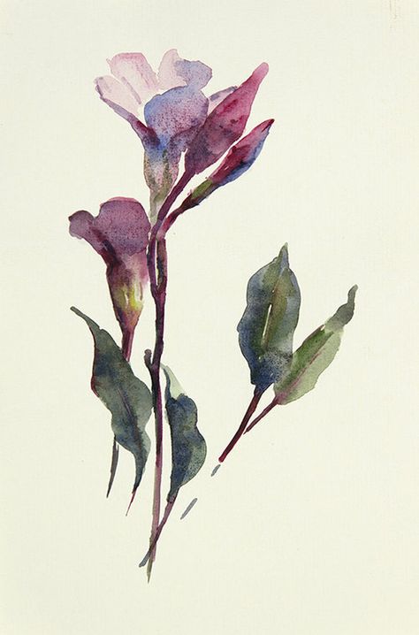 Contemporary Watercolor Paintings, Watercolor Contemporary Art, Wendy Artin, Botanical Sketchbook, Artist Watercolor, Contemporary Arts, Contemporary Watercolor, Diy Watercolor Painting, Watercolor Sketchbook