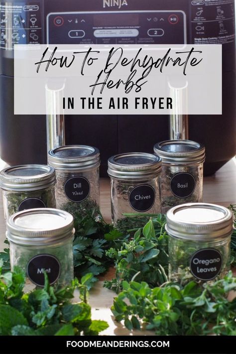 dehydrated herbs in jars with fresh herbs in front and air fryer in background Dehydrate In Air Fryer, Dehydrating In Air Fryer, Dehydrate Herbs, Drying Thyme, Dehydrating Herbs, Dehydrator Recipes Fruit, Drying Fresh Herbs, Dehydrated Apples, Simmer Pot Recipes