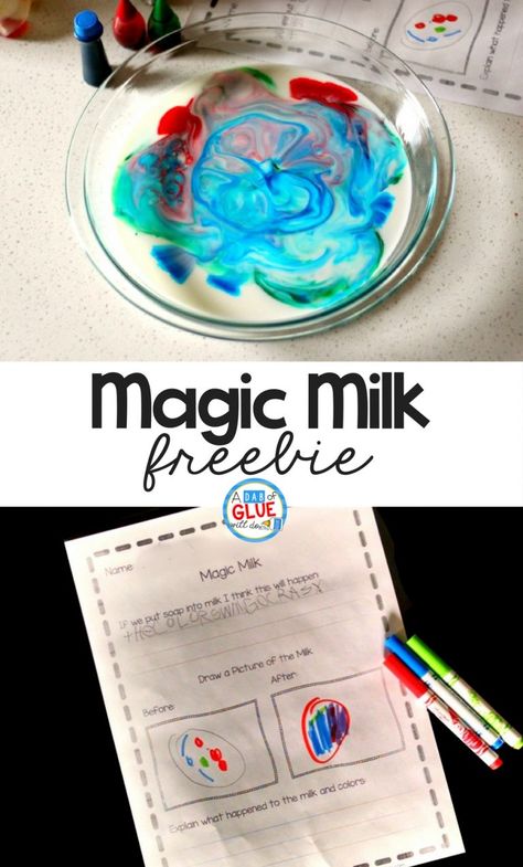 Have you ever wanted to try the Magic Milk experiment? We have and now my kids can play an active role with this printable results recording sheet! This is a fun experiment that your kids will love. :: www.thriftyhomeschoolers.com Magic Milk Experiment, Milk Experiment, Milk Science Experiment, Milk Ideas, January Kindergarten, Magic Milk, First Grade Freebies, Experiments For Preschoolers, Stem Experiments