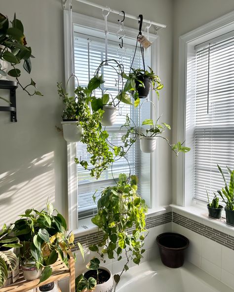 Greenery can indeed turn any window into a serene eacape...🌱🪴💚 #indoorplants #homedecor #plantlovers #windowview #greenliving Transform Your Home With Greenery, Indoor Plant Decor Ideas Greenery Over Windows, Window With Plants, Indoor Plant Decor Ideas, Plant Decor Ideas, Windowsill Plants, Window Sill Decor, Windowsill Garden, Plant Window, Window Plants