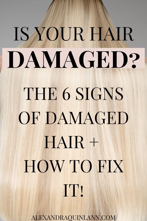 Bleach Damaged Hair, Hair Breakage Remedies, Products For Damaged Hair, Fried Hair, Knotty Hair, Heat Damaged Hair, Stop Hair Breakage, Bleaching Your Hair, Damage Hair Care