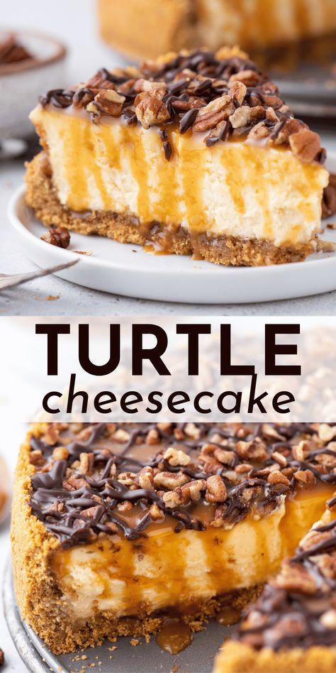 Even if you’ve never baked before, you will become a turtle cheesecake pro when you follow my easy step-by-step recipe and learn my tips for baking a cheesecake in a water bath. Your friends and family will RAVE about this turtle cheesecake recipe! Chocolate Turtle Cheesecake, Turtle Cheesecake Recipe, Turtle Dessert, Turtle Cheesecake Recipes, Grilled Burger Recipes, Chocolate Turtle, Dessert Restaurants, Turtle Cheesecake, Baked Cheesecake Recipe