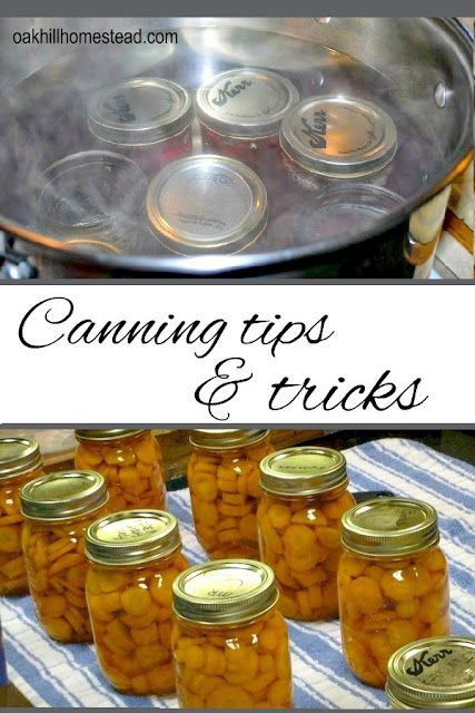 Canning tips and tricks I learned from Dr. Barbara Brown, Oklahoma's canning expert. Preserve Meat, Food Preservation And Storage, Homestead Diy, Jelly Making, Homesteading Life, Preserving Vegetables, Canning Vegetables, Modern Homesteading, Canning Supplies