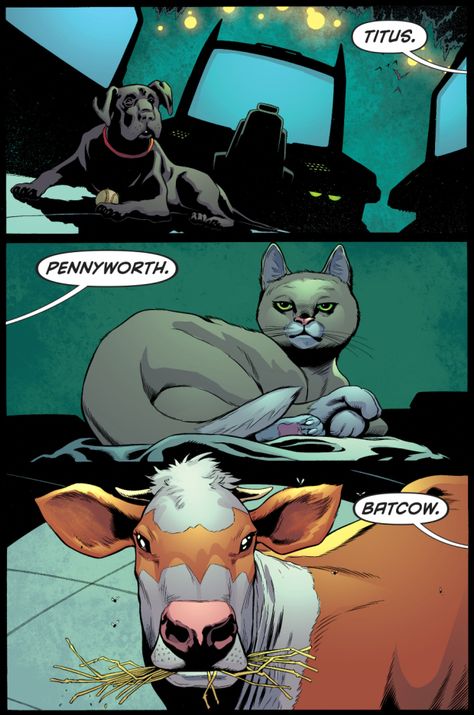 damian wayne's pets meets goliath Son Of Batman, I Am Batman, Batman Funny, Dc Comics Artwork, Im Batman, Damian Wayne, Dc Memes, Batman And Robin, Batman Family