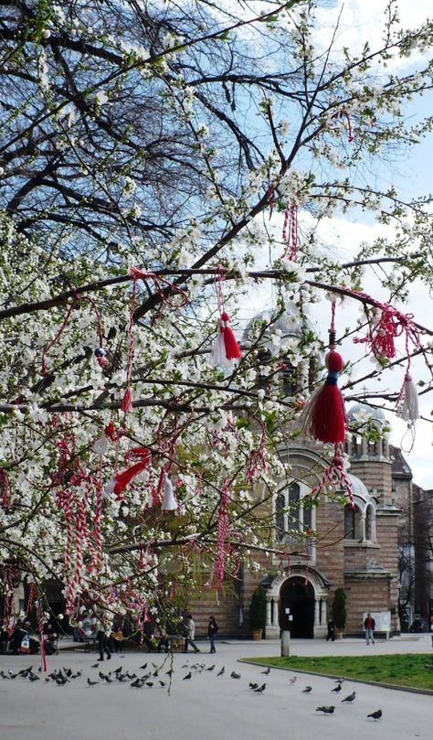 Bienvenidos a mi Bulgaria, martenitsa en un árbol en frente de la catedral de Santa Sofía en Sofía Bulgaria Culture, Bulgaria Nature Photography, Bulgaria History, Bulgaria Nature, Balchik Bulgaria, Borovets Bulgaria, Bulgarian Culture, Landscape Photography Tips, Sofia Bulgaria