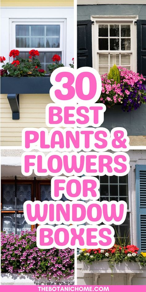 A front porch with overflowing flower boxes full of vibrant blooms. Homes With Window Boxes, Planter Box Ideas Flowers, Porch Flower Boxes, Flower Boxes Outside, Container Flower Garden Ideas, Window Flower Box Ideas, Best Plants For Window Boxes, Spring Window Boxes, Flowers For Planters