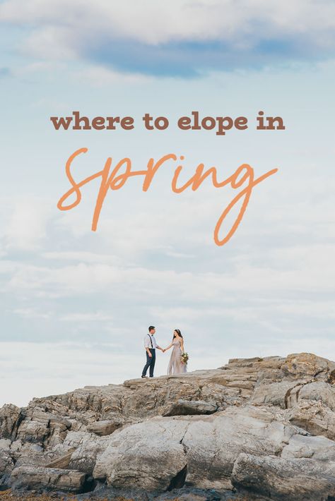 The very best places to go for your spring elopement or microwedding! Spring Elopement Ideas, Spring Elopement, Where To Elope, Outdoor Elopement, Spring Outdoor, National Park Wedding, Places To Get Married, Spring Rain, California Elopement