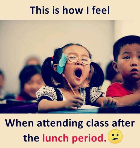 School Life Quotes, Student Jokes, Funny English Jokes, English Jokes, Jokes Images, Student Humor, School Quotes Funny, School Jokes, Funny School Jokes