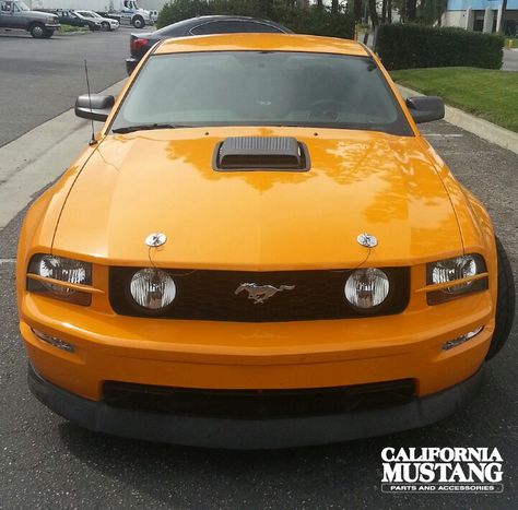 2007 Mustang Grabber Orange. 2007 Mustang, Best Workout Plan, Mustang Fastback, Old Cars, Ford Mustang, Fun Workouts, Dream Cars, Mustang, Dodge