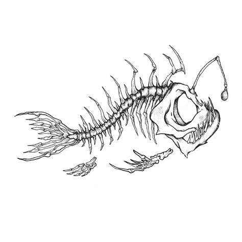 Fish Skeleton Drawing Simple, Ocean Skeleton Tattoo, Fish Tattoo Skeleton, Scary Ocean Tattoo, Koi Fish Skeleton, Fish Bone Drawing, Fish Skeleton Drawing, Animal Skeleton Tattoo, Fish Skeleton Tattoo