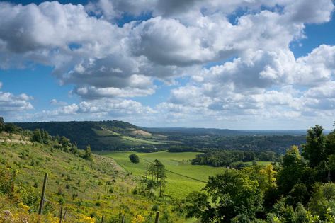 Distant view of Box Hill, near Dorking, Surrey Hills, North Downs, Surrey, England, United Kingdom Places To Visit In England, Box Hill, Peak District National Park, Surrey England, Physical Geography, England Trip, Diorama Ideas, Europe Photos, Mr Darcy