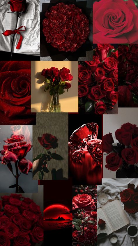 Aesthetic Red Rose Wallpaper, Red Rose Wallpaper Iphone, Red Roses Wallpaper Aesthetic, Wallpaper Vermelho, Roses Collage, Cheryl Blossom Aesthetic, City Life Photography, Red Roses Wallpaper, Dark Red Wallpaper