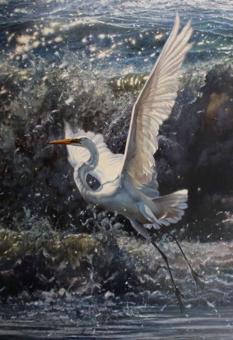 Matthew Hillier | Great Egret Taking Flight Black And White Flower Tattoo, Studio Floor, Heron Art, Great Egret, White Egret, Bird Paintings, Animal Guides, Bird Poster, Shorebirds