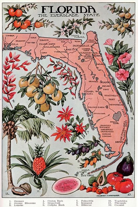 "Vintage Map of Florida (1917)" Posters by BravuraMedia | Redbubble Illustration Friends, Florida Map, Map Of Florida, Travel Postcard, Ideas Vintage, Wedding Vintage, Old Florida, Vintage Florida, Illustrated Map