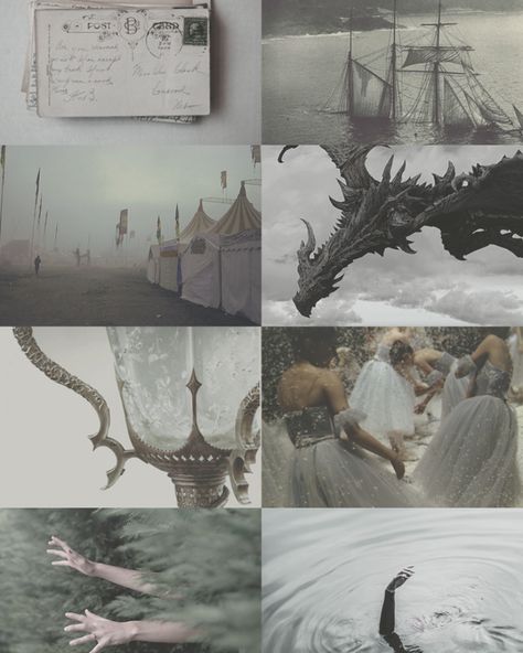 Goblet Of Fire Aesthetic, Fire Aesthetic, The Goblet Of Fire, Goblet Of Fire, The Marauders, Some People, Harry Potter, Collage, Books