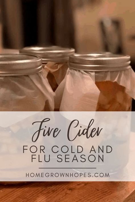 Make DIY fire cider with apple cider vinegar, honey, garlic, and turmeric for a natural, immune-boosting remedy. Perfect as a daily tonic, zesty salad dressing, or thoughtful homemade gift. This step-by-step guide highlights the benefits of fire cider and shows you how to create a quick, easy jar of wellness packed with herbs and powerful ingredients for gut and immune health. Apple Cider Vinegar When Sick, Canning Fire Cider, Holistic Remedies For Cough, Mexican Cold Remedies, Recipe For Hot Toddy Cold Remedies, Apple Cider Vinegar Drink For Colds, Homemade Fire Cider, Whiskey Cough Remedy Honey, How To Make Fire Cider