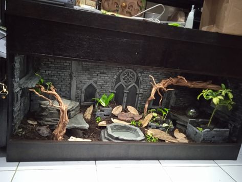 Modern Snake Enclosure, Gothic Reptile Enclosure, Bearded Dragon Apartment, Themed Snake Enclosure, Gothic Snake Enclosure, Goth Snake Enclosure, Aesthetic Snake Enclosure, Kenyan Sand Boa Enclosure, Beardie Enclosure Ideas