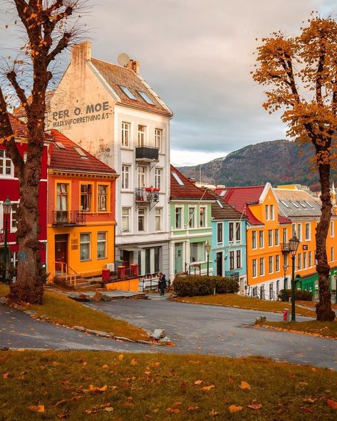 gisipen on X: "Bergen, Norway 🇳🇴 https://t.co/nPVKlAoQCx" / X Bergen Norway Aesthetic, Norway Aesthetic, Bergen Norway, Visit Norway, Aesthetic Autumn, Norway Travel, World View, Fall Photos, Scandinavia