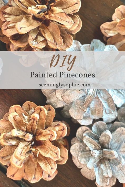 Painted pinecones make the perfect decorative accent or vase filler. These DIY painted pinecones are so fun and so easy to make! #DIY #crafts #easy #paint #pinecones #rustic #howto #homedecor #decorativeaccents #vasefiller Painting Pinecones Diy, Painted Pinecones Flowers, Painting Pinecones, Paint Pinecones, Pinecone Crafts Christmas, Painted Pinecones, Diy Pinecone, Diy Kitchen Remodel, Crafts Easy