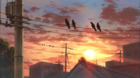 Ciel Anime, Photo Bleu, Twitter Header Pictures, Twitter Header Aesthetic, Twitter Header Photos, Haikyuu Karasuno, Scenery Background, Haikyuu Wallpaper, Sunset Background