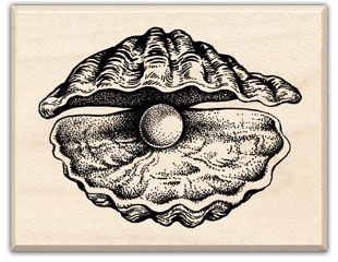 Seashell Drawing, Pearl Tattoo, Shell Drawing, Shell Tattoos, Pearl Oyster, Art Coquillage, French Bistro, Oyster Shell, Sea Shell