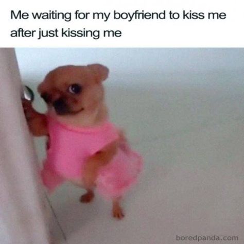 National Boyfriend Day, Boyfriend Day, Friendship Memes, Work Wife, Funny Relationship Memes, Friendship Humor, Boyfriend Memes, Me Too Meme, Funny Cat Memes