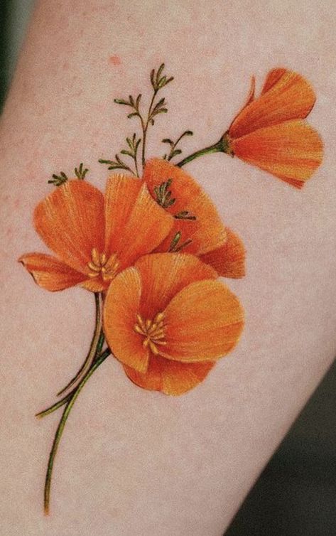 Colored Poppy Tattoo, Yellow Poppy Tattoo, Poppy Tattoo Color, Orange Poppy Tattoo, Golden Poppy Tattoo, Botanical Flower Tattoo, Orange Flower Tattoo, Orange Tattoos, Tattoo Prep