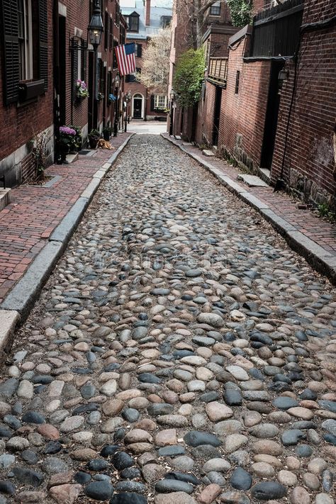 Cobblestone Driveway, Cobblestone Street, Stone Street, Road Photography, Cobblestone Streets, Beacon Hill, Old Street, Old Stone, Reference Photos