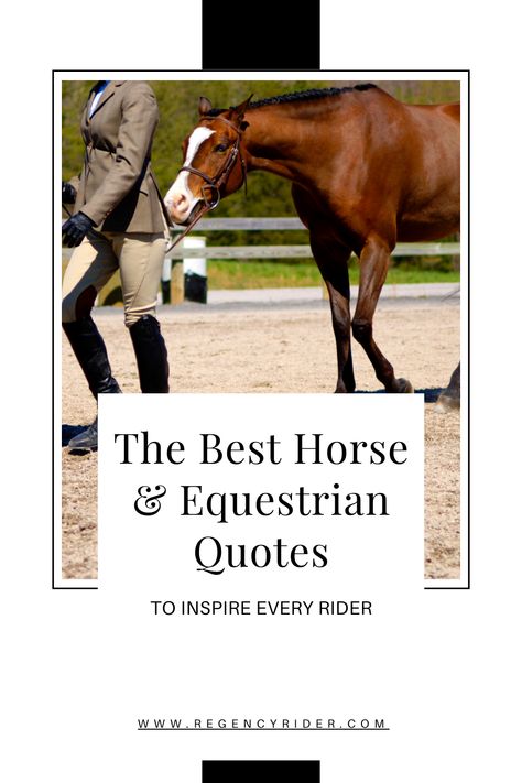 Discover the most inspiring horse and equestrian quotes to uplift every rider's spirit! Our curated collection of motivational sayings will fuel your passion for riding and deepen your bond with your horse. Perfect for equestrians of all levels, these quotes are sure to resonate and inspire. Dive into our blog post now and let the words of wisdom guide your riding journey. #EquestrianLife #HorseQuotes #InspirationForRiders Equestrian Quotes Inspirational, Rider Quotes, Equestrian Quotes, Motivational Sayings, Life Board, Horse Quotes, Horse Equestrian, Equestrian Life, Quotes To Inspire