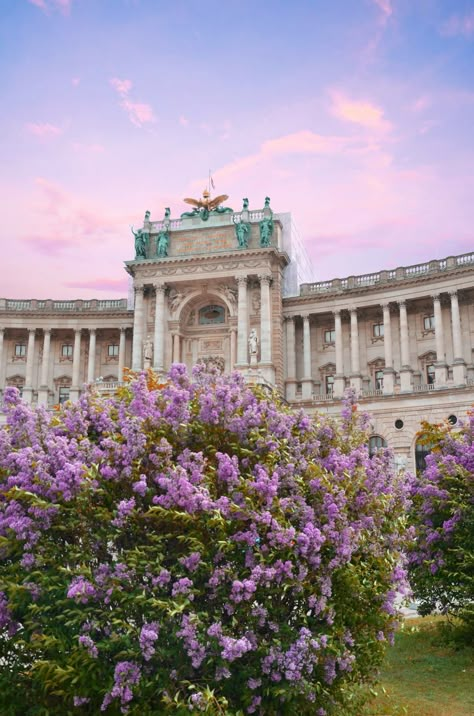 Vienna Austria Aesthetic Summer, Vienna Travel Aesthetic, Vienna Summer Aesthetic, Vienna Austria Aesthetic, Library Vienna, Vienna Summer, Austria Aesthetic, Vienna Aesthetic, Vienna Trip