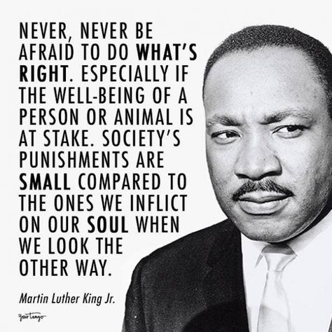 Martin Luther King Jr. quotes Mather Luther King, Dr Martin Luther King Quotes, Human Rights Quotes, Justice Quotes, Martin Luther King Quotes, Martin Luther King Jr Quotes, Mlk Quotes, Most Powerful Quotes, Humanity Quotes