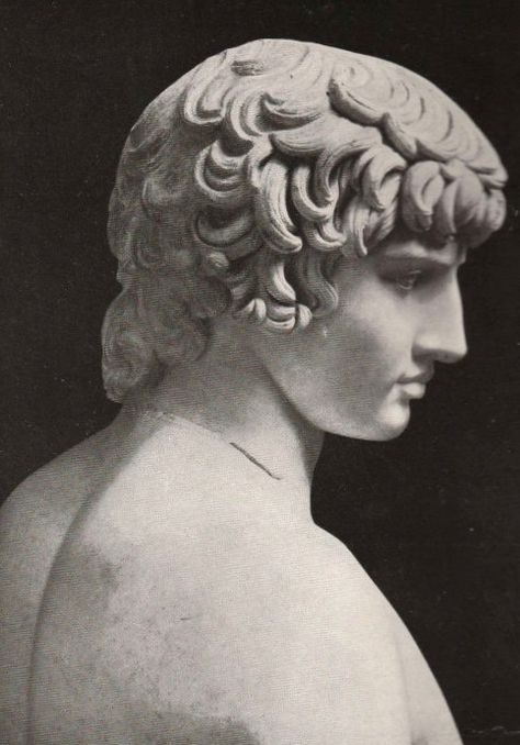 Antinous Farnese 130-138 CE Statue Side Profile, Icarus Statue, Sculpture Reference, Best Friend Christmas Gifts, Face References, Classic Sculpture, Ancient Statues, History Nerd, Greek Sculpture