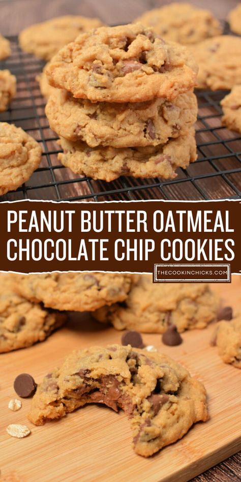 Who doesn't love treats? These Peanut Butter Oatmeal Chocolate Chip Cookies is a great treat and fun after school snack for kids. The delight combination of simple ingredients on this flavor packed cookie treat is best for easy back to school recipes. Peanut Butter Oatmeal Chocolate Chip, Peanut Butter Oatmeal Chocolate Chip Cookies, The Cookin Chicks, Butter Oatmeal Cookies, Chocolate Peanut Butter Desserts, Decadent Chocolate Desserts, Rolled Sugar Cookies, Peanut Butter Oatmeal Cookies, Peanut Butter Chocolate Chip Cookies