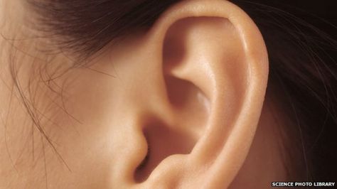 Locating objects using echoes 'needs two good ears' How To Pop Ears, Surgery Doctor, Outer Ear, Neck Surgery, Complementary Medicine, Cerebrospinal Fluid, Ear Health, Sinus Infection, Ear Wax