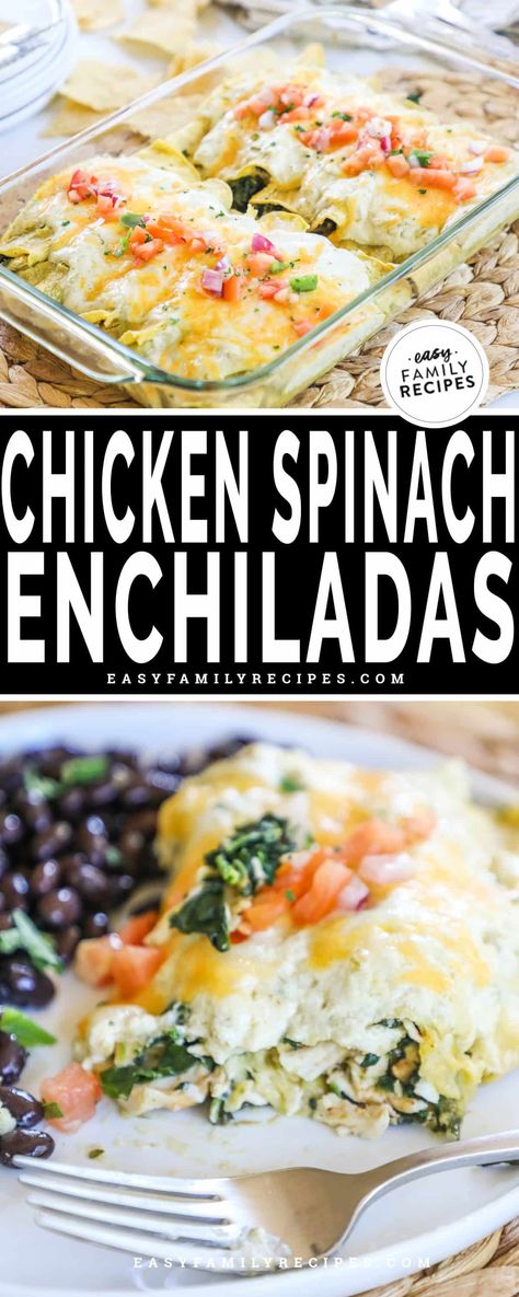 Enjoy these 15 minute chicken spinach enchiladas for an easy family dinner. You can make them with leftover or rotisserie chicken, frozen spinach, and canned enchilada sauce for a quick meal. Everyone will love the creamy green sauce and traditional style corn tortillas! Chicken Spinach Enchiladas, Chicken And Spinach Enchiladas, Enchiladas With Sour Cream Sauce, Enchiladas With Green Sauce, 15 Minute Chicken, Creamy Green Sauce, Chicken Spinach Bake, Chicken Spinach Recipes, Spinach Enchiladas