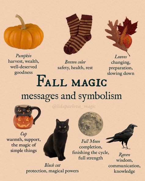 Basically, all Fall is magical🍂 Witchy November, November Witchcraft, Autumn Witchcraft, November Magic, Cottage Witchcraft, Witchy Knowledge, Witchcraft Inspiration, Pagan Inspiration, Cat Communication