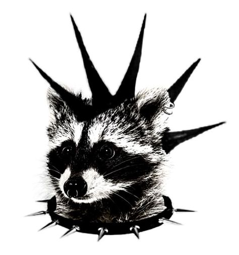 Raccoon Drawing Reference, Emo Raccoon, Punk Raccoon, Raccoon Aesthetic, Raccoon Pfp, Punk Pfp, Cool Raccoon, Raccoon Eyes, Raccoon Drawing