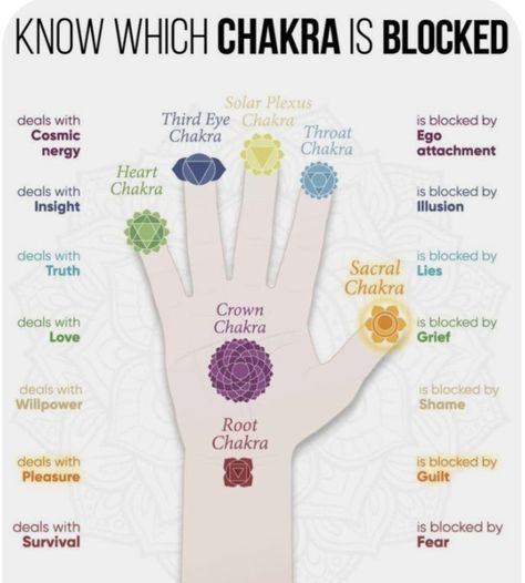 Chakras And Meanings, Unblocking Chakras For Beginners, Unblock Chakras, How To Unblock Chakras, Chakra For Beginners, Healing Chakras, Chakra Chart, Chakra Healing Meditation, Chakra Health