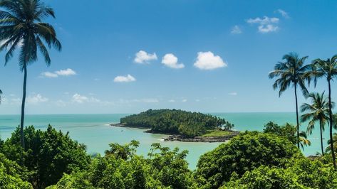 La Guyane française est un territoire d’outre-mer de la France qui n’a pas encore été découvert par le tourisme de masse. Dans cette terre méconnue, chaque voyage ressemble à une véritable aventure au milieu d’un environnement surprenant. Les amoureux de la nature seront surpris par l’apparition de tortues luths venues pondre leurs œufs sur la plage. South America Travel, Famous Places, French Guiana, Income Tax, Landscape Projects, Travel Agent, Best Vacations, Countries Of The World, America Travel