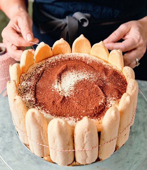 Tiramisu Cake (Espresso Charlotte Russe) - New England Today Tiramisu Charlotte Cake, Charlotte Dessert Recipes, Charlotte Russe Dessert, Charlotte Cakes, Charlotte Russe Cake, Sunday Desserts, Tiramisu Italian, Charlotte Dessert, Andy Cooks