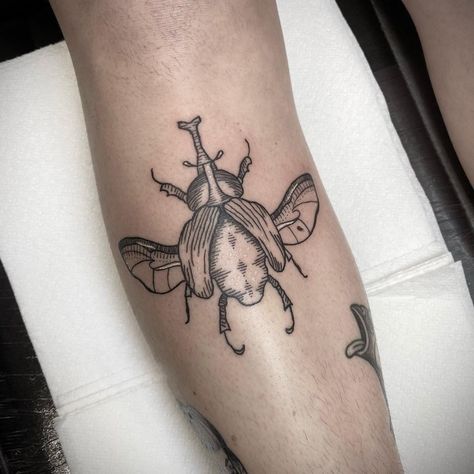 Lauren Preston Ink on Instagram: “All the beetles fear the rhino. Thank you @nicolacoffee again for coming in, lovely to meet you! Thanks for sitting like an absolute champ😘…” Rhino Beetle Tattoo, Rhino Beetle, Beetle Tattoo, Tattoo Ink, Beetles, Life Tattoos, Inked Girls, Preston, To Meet