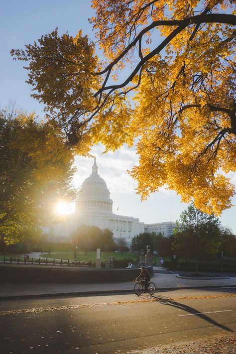 The US Capitol - abpan Washington Dc Capitol, Us Capitol, Beautiful Sunrise, Start The Day, Washington Dc, To Start, Washington, The Day, Quick Saves