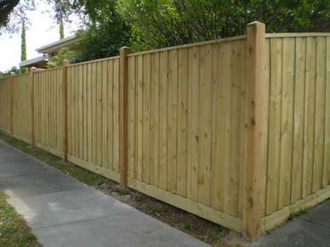 Timber Fencing Treated Pine Paling | Eastside Fencing Dog Ear Fence, Timber Fence, Picket Fencing, Fencing And Gates, Cypress Pine, Fence Options, Timber Posts, Fence Boards, Southern Yellow Pine