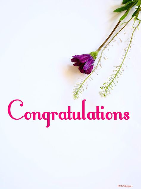 Congratulations Congratulations Images Pictures, Congratulations Wallpaper, Congratulations Pictures, Happy Birthday Logo, Congratulations Images, Happy Birthday Flowers Wishes, Congratulations Flowers, Good Night Massage, Birthday Logo