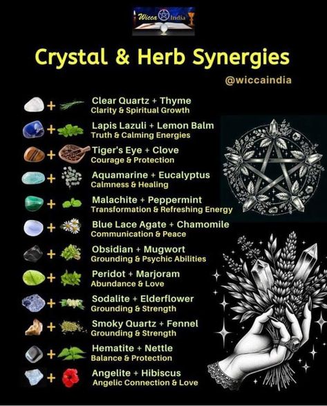 Crystal And Herb Pairings, Psychic Herbs, Green Witch Spells, Crystals For Plants, Crystal Pairings, Witch Spirituality, Grimoire Book, Magic Spell Book, Magic Herbs