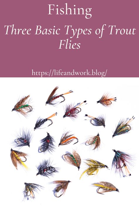 Best Trout Flies, Fly Fishing Knots, Aquatic Insects, Caddis Flies, Secret Tattoo, Fish Bait, Fish Feed, Fly Fishing Tips, Trout Flies