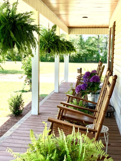 Cabin Front Porch Decor, Kimberly Ferns Front Porches, Western Cedar Front Porch, Front Porch Wood Ceiling, Cabin Front Porch Ideas, Hanging Ferns On Porch Patio, Porch Wood Ceiling, Wood Under Front Porch Ceiling, Front Porch Ferns