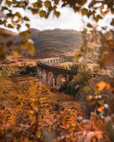 Autumn Cozy, Trees