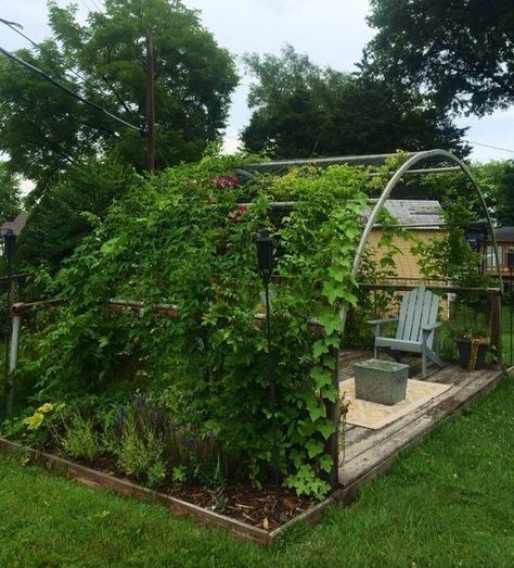 #diy turning trampoline into other fun things!!  Swinging tee-pees and giant garden chimes are way cooler than a trampoline. Old Trampoline, Backyard Accessories, Moderne Have, Garden Archway, Backyard Trampoline, Garden Vines, Have Inspiration, Garden Trellis, Garden Structures