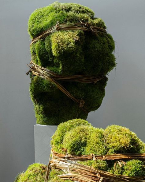 Moss Bowls, Bo Concept, Moss Tree, Floral Art Design, Dream Place, Floral Art, Link In Bio, Art Design, Instagram Photos